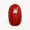 Japanese Red Coral- 12 Ratti (Rs. 4,500 / Ratti)